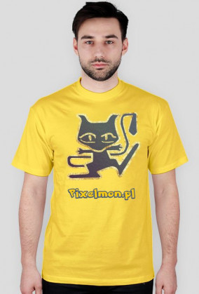 Mew Pixelmon.pl