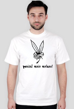 Poniósł mnie melanż!