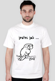 jestes jak papuga