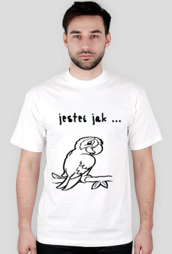 jestes jak papuga