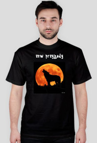 wilk nocą - seria zwierzęta