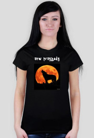 wilk nocą - seria zwierzęta