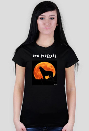 wilk nocą - seria zwierzęta