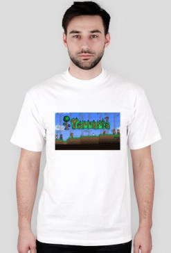 kosz. terraria