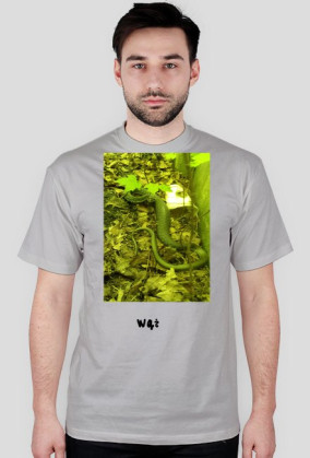 wąż