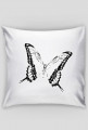 Motyl
