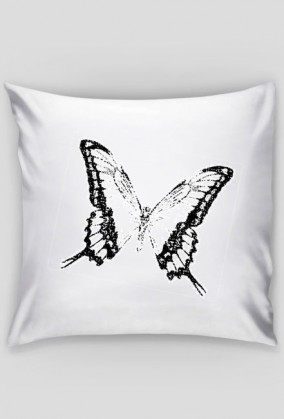Motyl