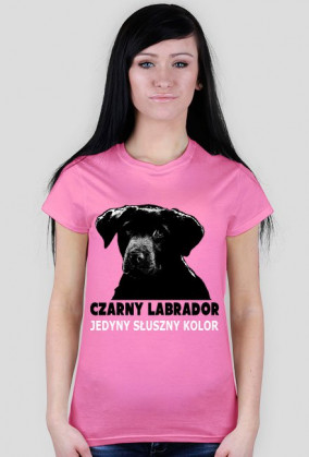 Czarny labrador