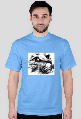 King Style - Cat
