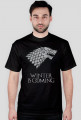 Winter is coming - House Stark - WSZYSTKIE kolory