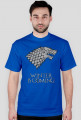 Winter is coming - House Stark - WSZYSTKIE kolory