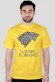 Winter is coming - House Stark - WSZYSTKIE kolory