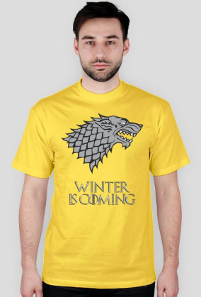 Winter is coming - House Stark - WSZYSTKIE kolory