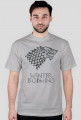 Winter is coming - House Stark - WSZYSTKIE kolory