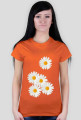 Daisy