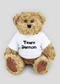 Miś Team Damon Love Damon