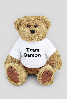 Miś Team Damon Love Damon