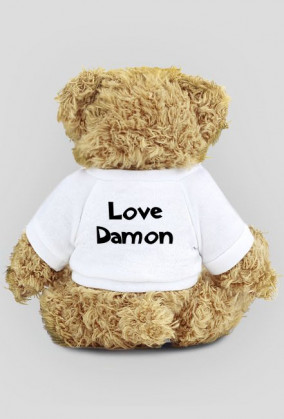 Miś Team Damon Love Damon