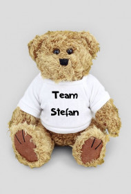 Miś Team Stefan Love Stefan