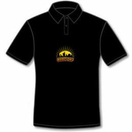 Polo-Code