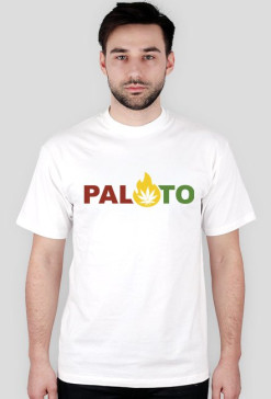 pal.to Fire