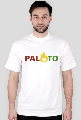 pal.to Fire