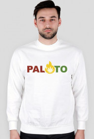 pal.to Fire