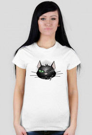 kot - seria koszulki ze zwierzętami