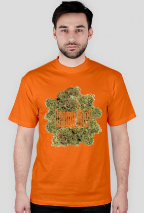 Czemu Nie? Weed
