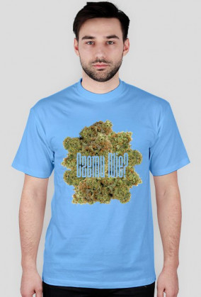 Czemu Nie? Weed