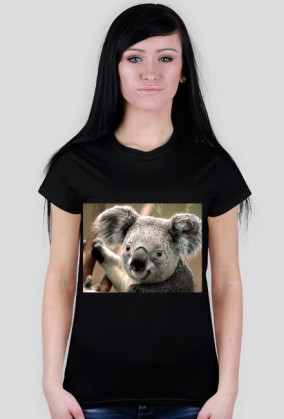 Koala Na Koszulce