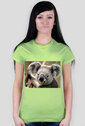 Koala Na Koszulce