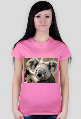 Koala Na Koszulce