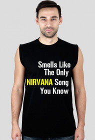 Smells Like The Only  NIRVANA Song  You Know