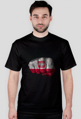 Polska siła