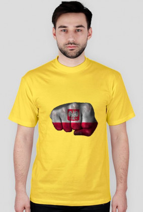 Polska siła