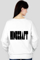 bluza