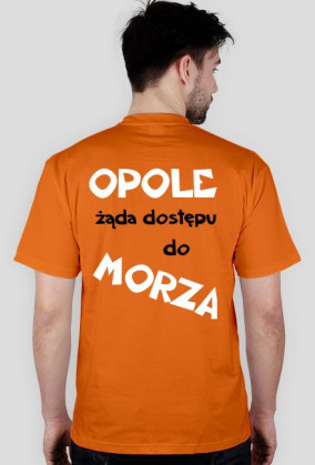 Opolski pomost