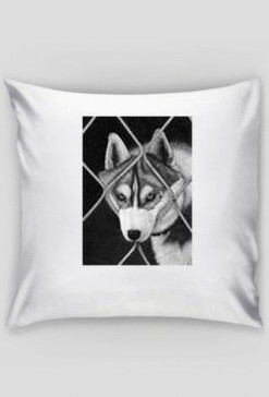 Husky poduszka