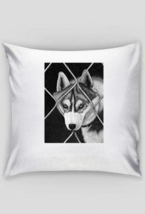 Husky poduszka