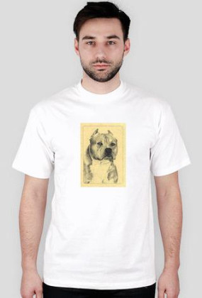 Amstaff