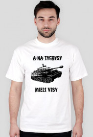 A na Tygrysy mieli Visy
