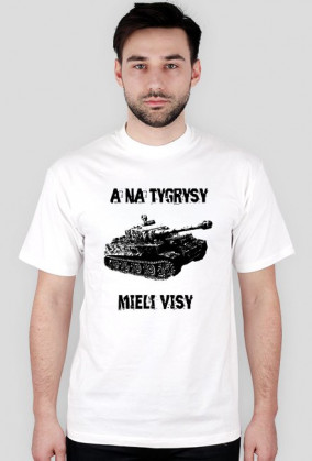A na Tygrysy mieli Visy
