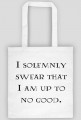 I solemnly swear..