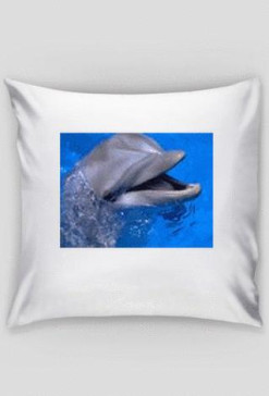 delfin