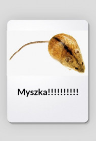 Pod Myszkę!!