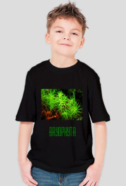 Bryophyta