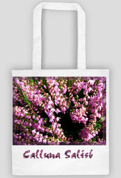 Calluna Salisb