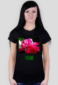 Paeonia