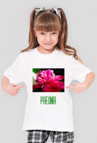 Paeonia